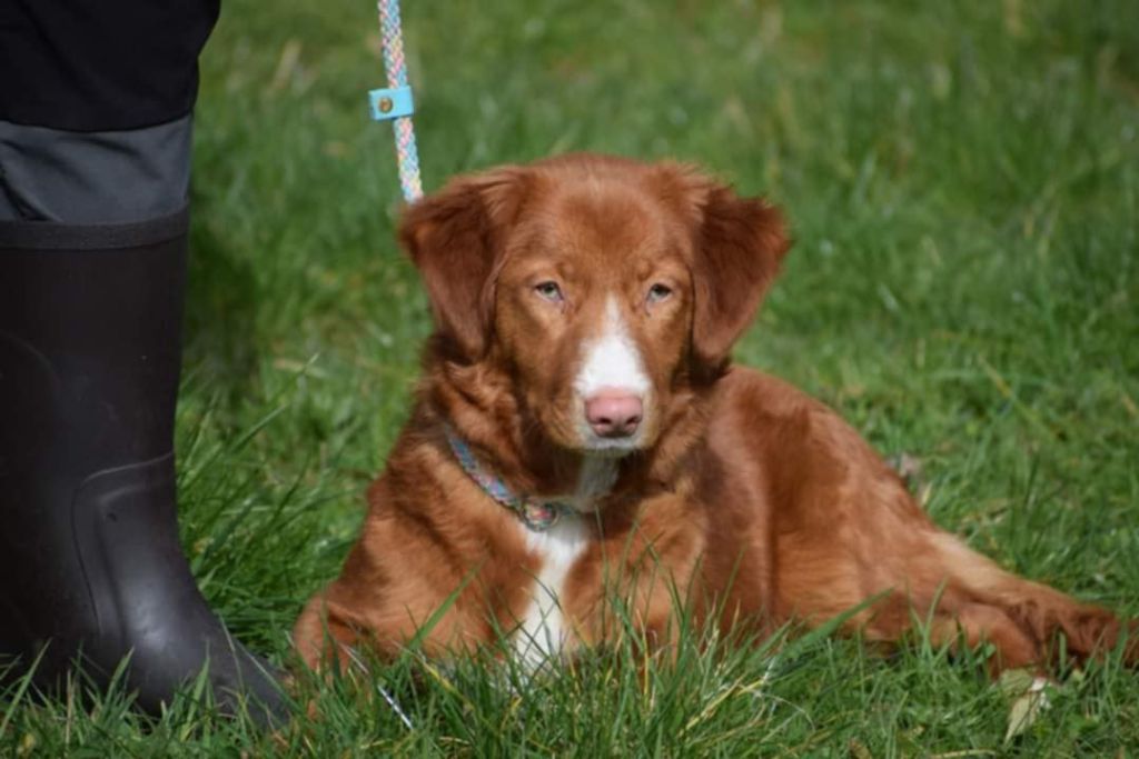 Aslo know as tara da herdade da aroeira