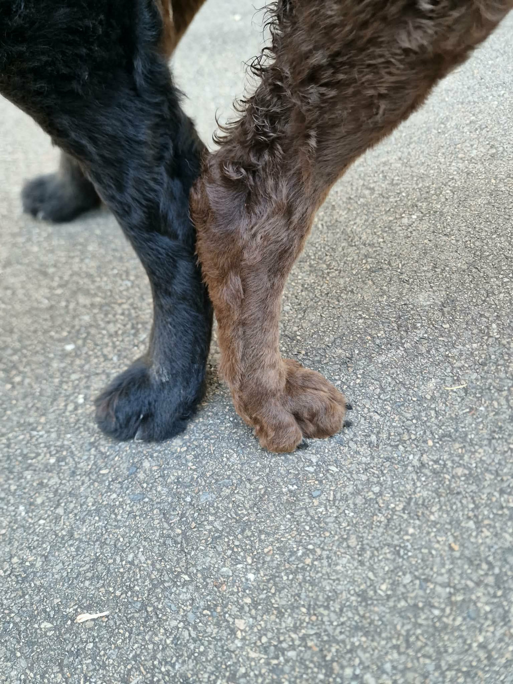 Mariage de Xéna . Liste de réservation ouverte