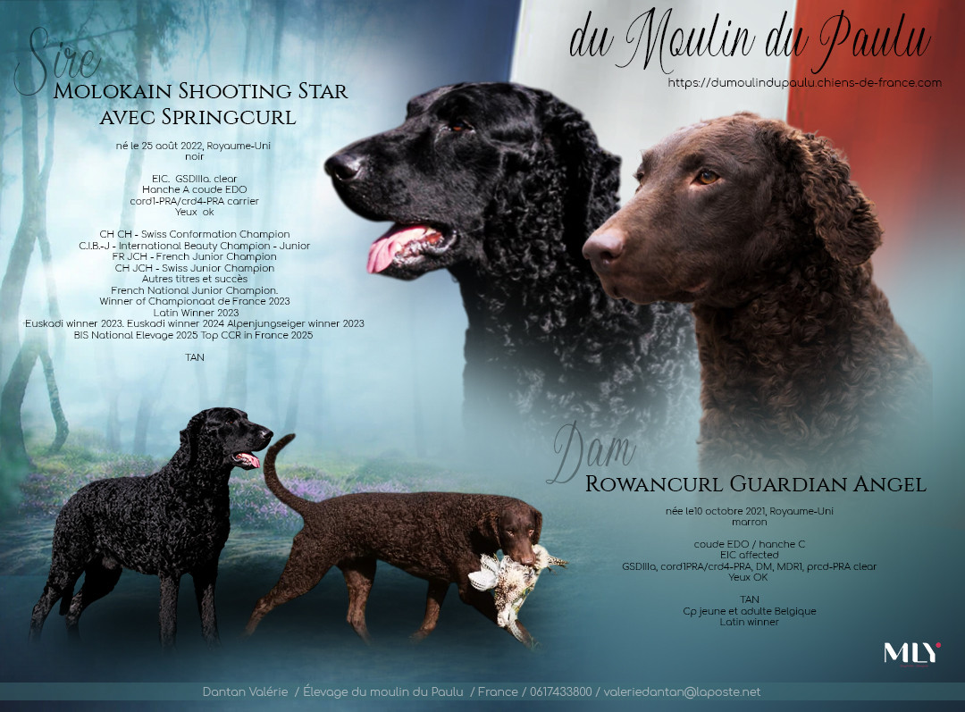 Liste de réservation ouverte