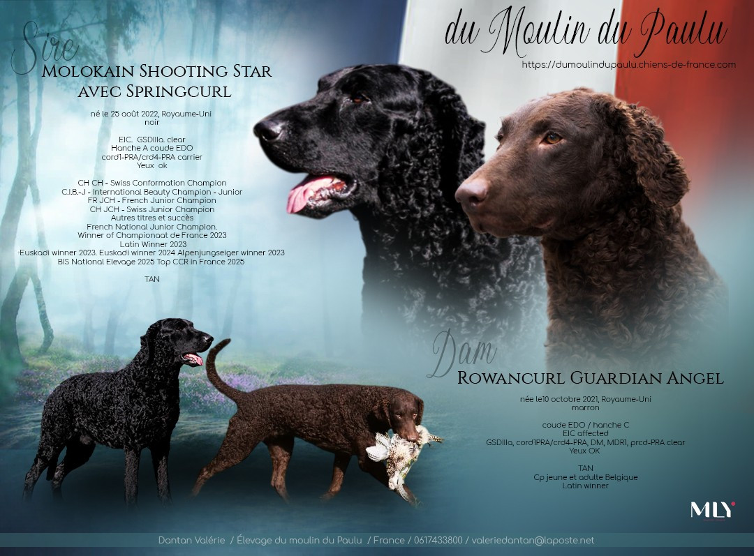 Naissance pour le 26 mai